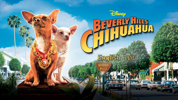 nhung-chu-cho-chihuahua-poster.jpg