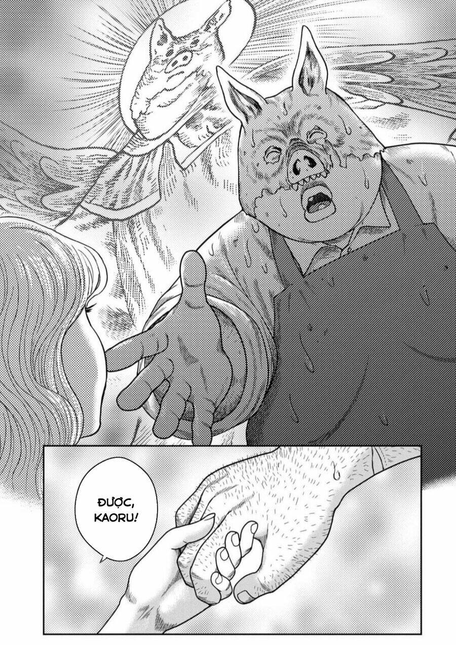 page_17.jpg