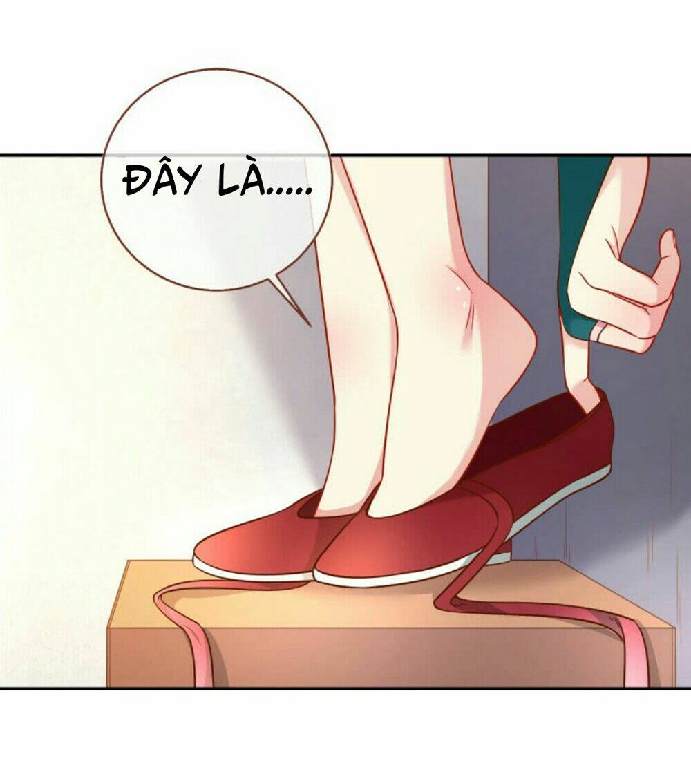 page_20.jpg