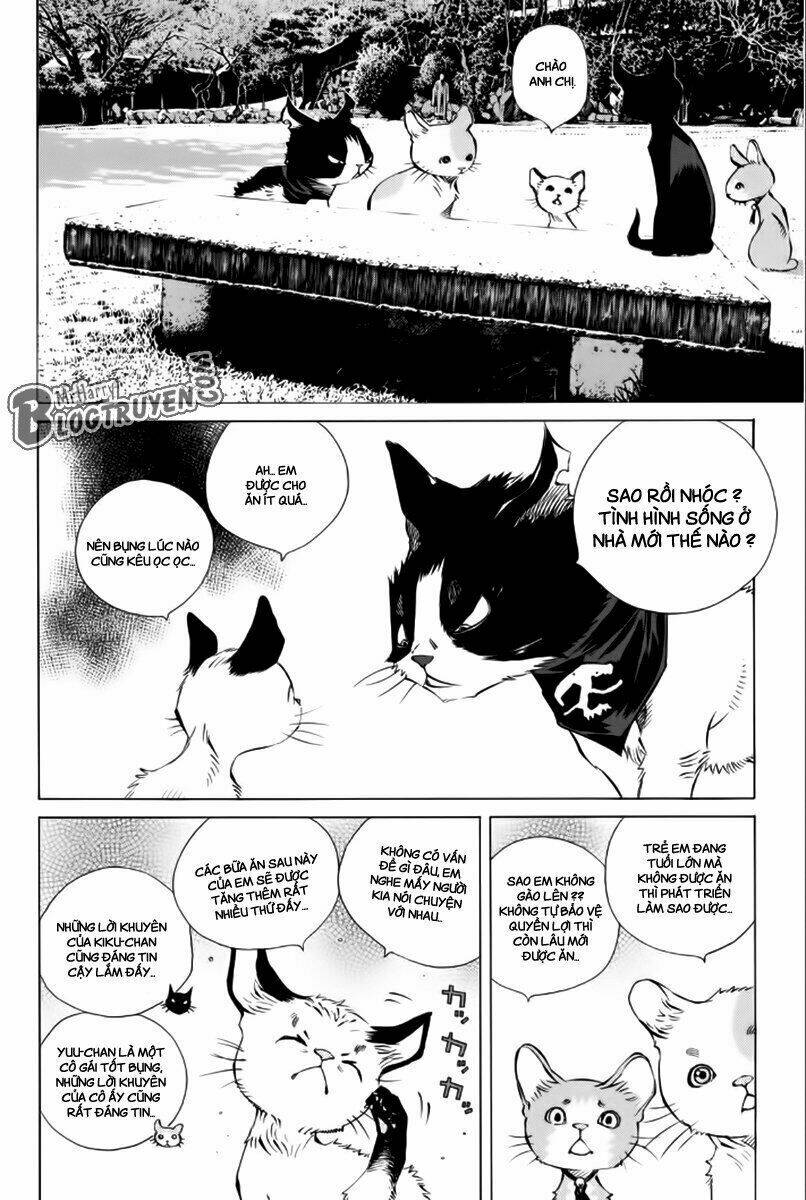 page_23.jpg