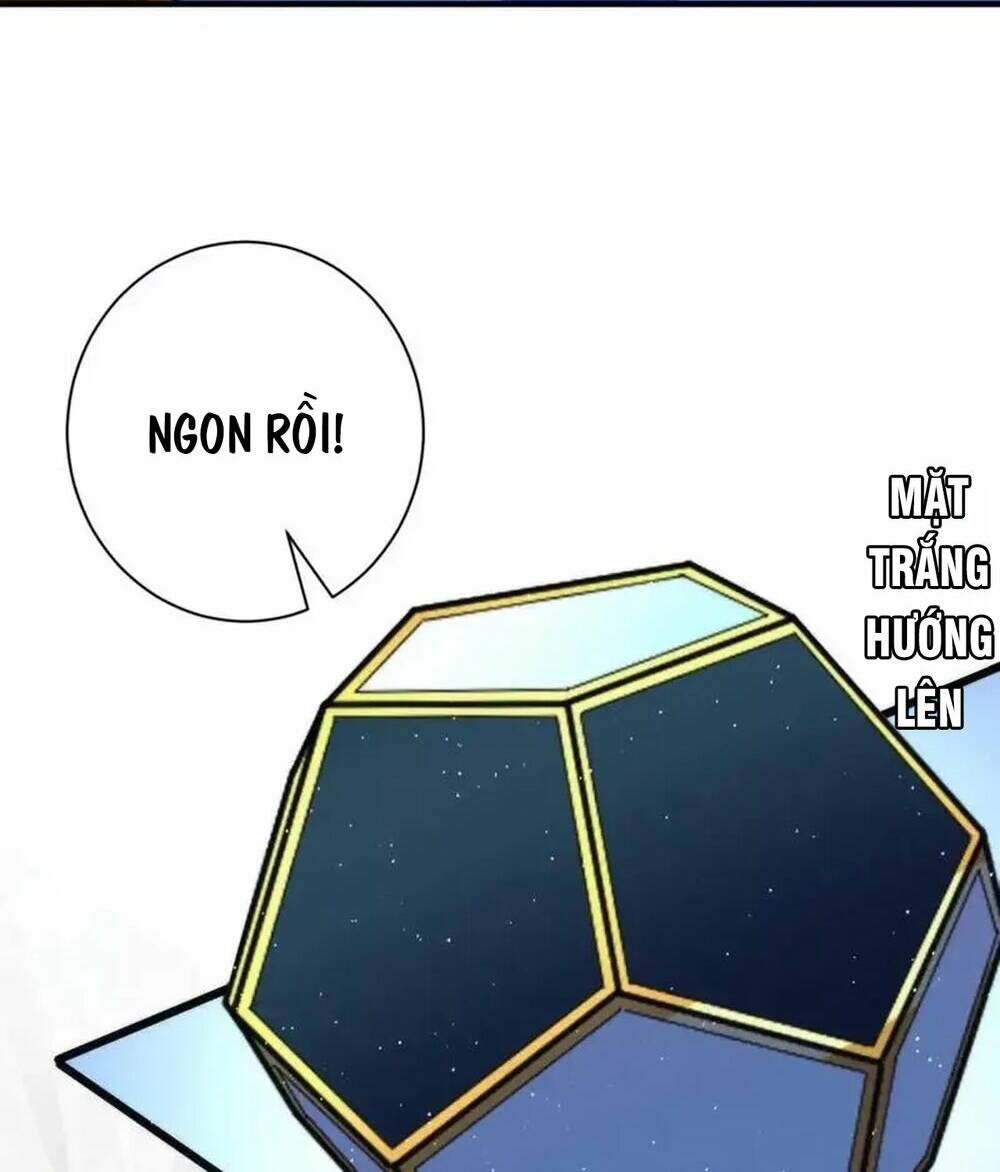 page_24.jpg