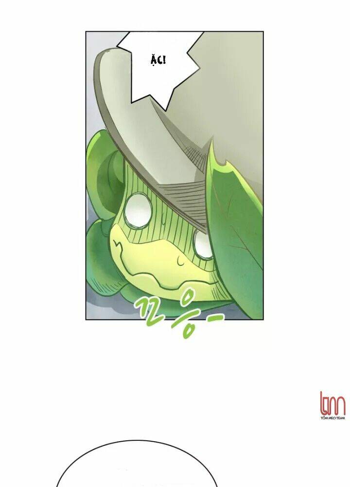 page_13.jpg