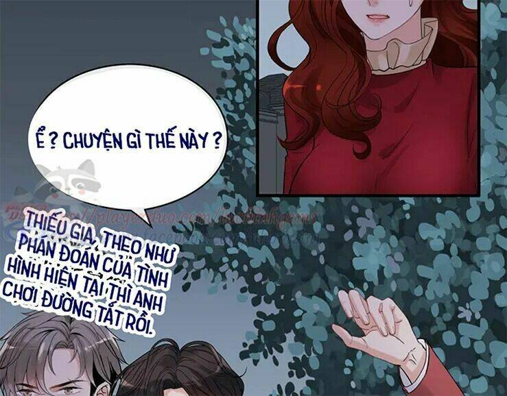 page_29.jpg
