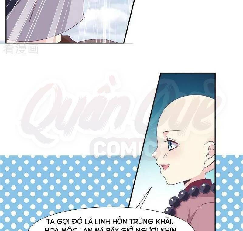 page_29.jpg