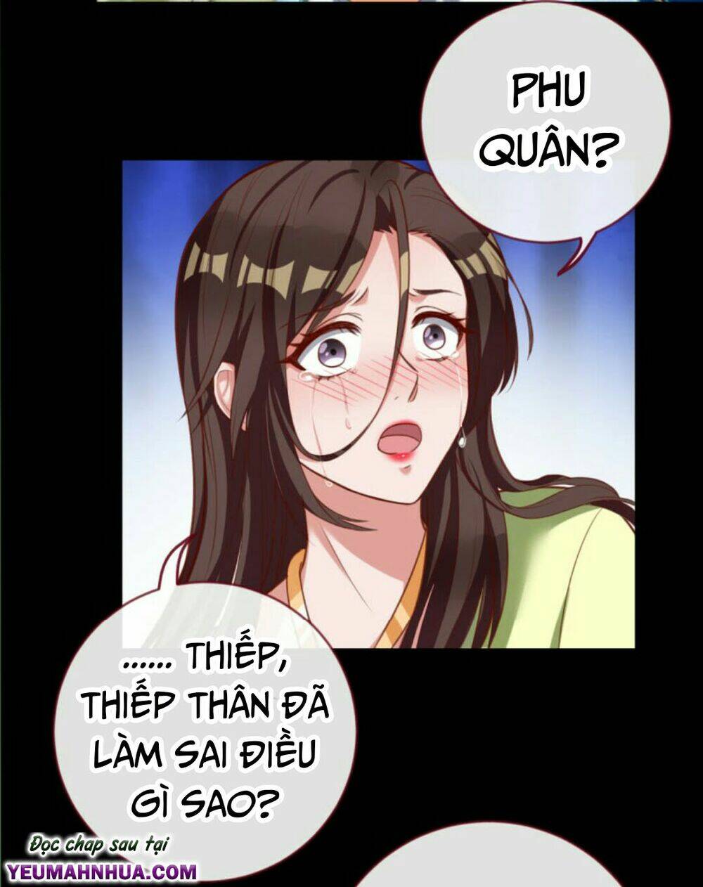 page_20.jpg