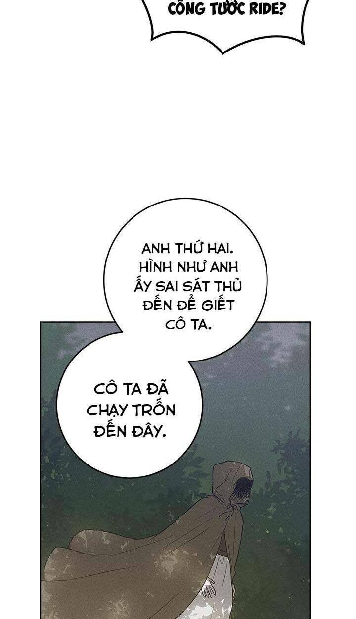 page_41.jpg