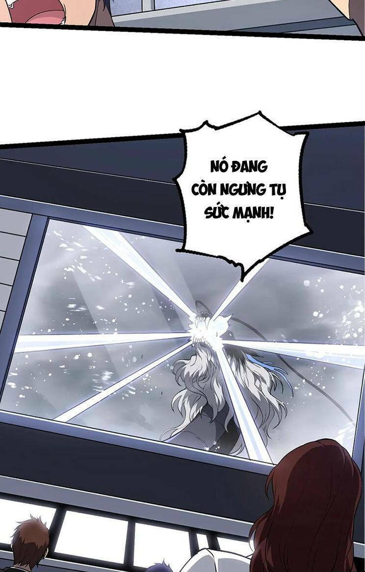 page_24.jpg