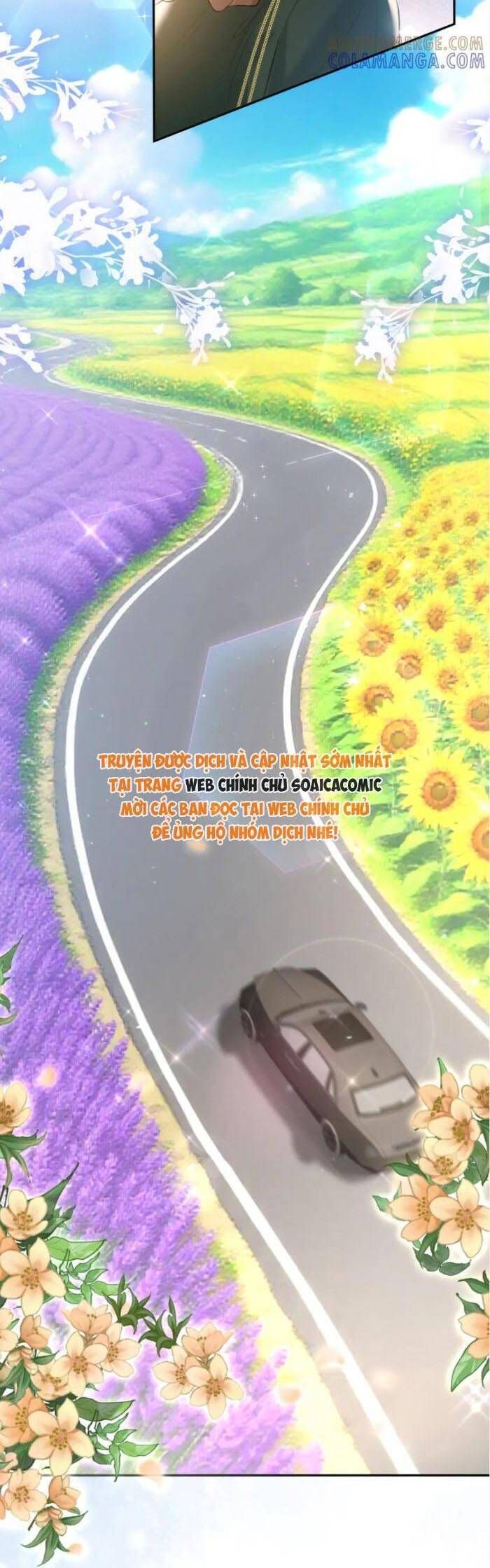 page_17.jpg