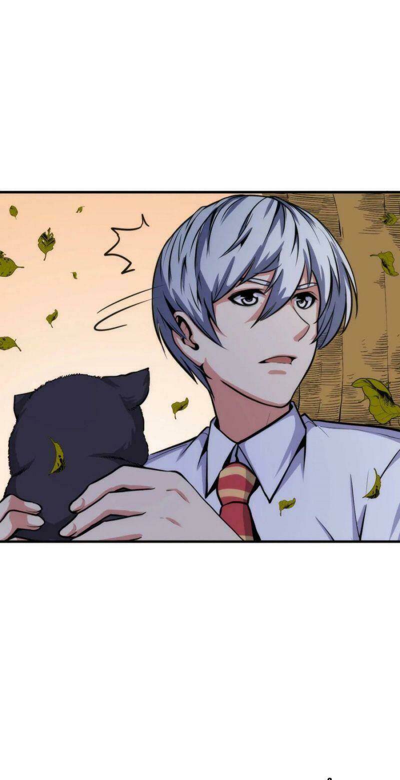 page_5.jpg