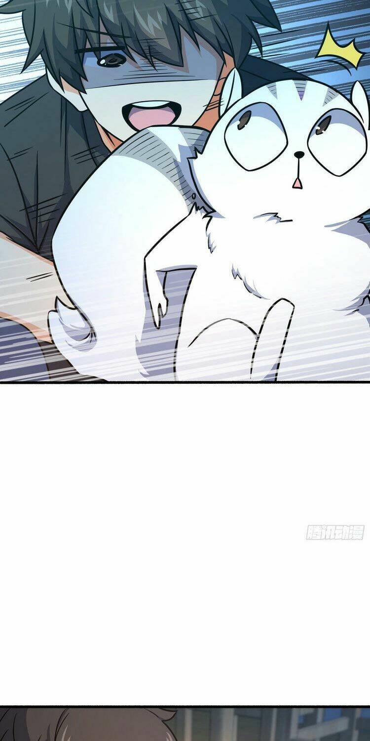 page_11.jpg