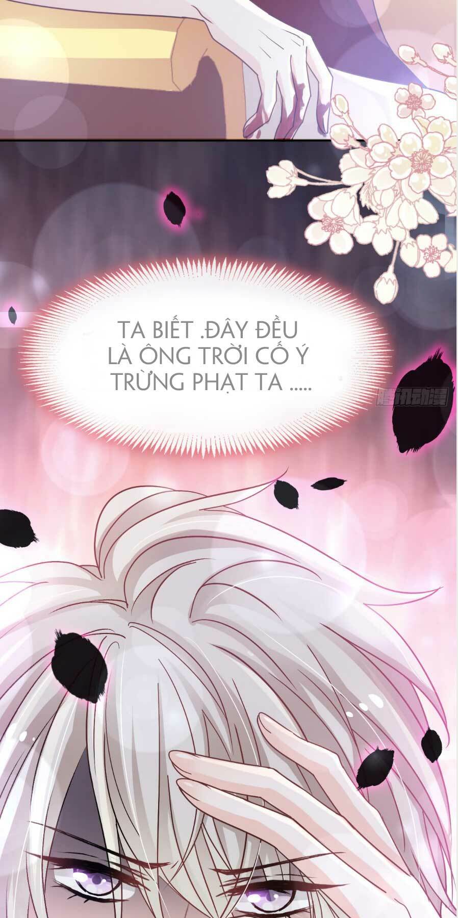 page_22.jpg