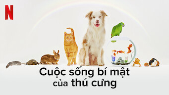 cuoc-song-bi-mat-cua-thu-cung-poster.jpg