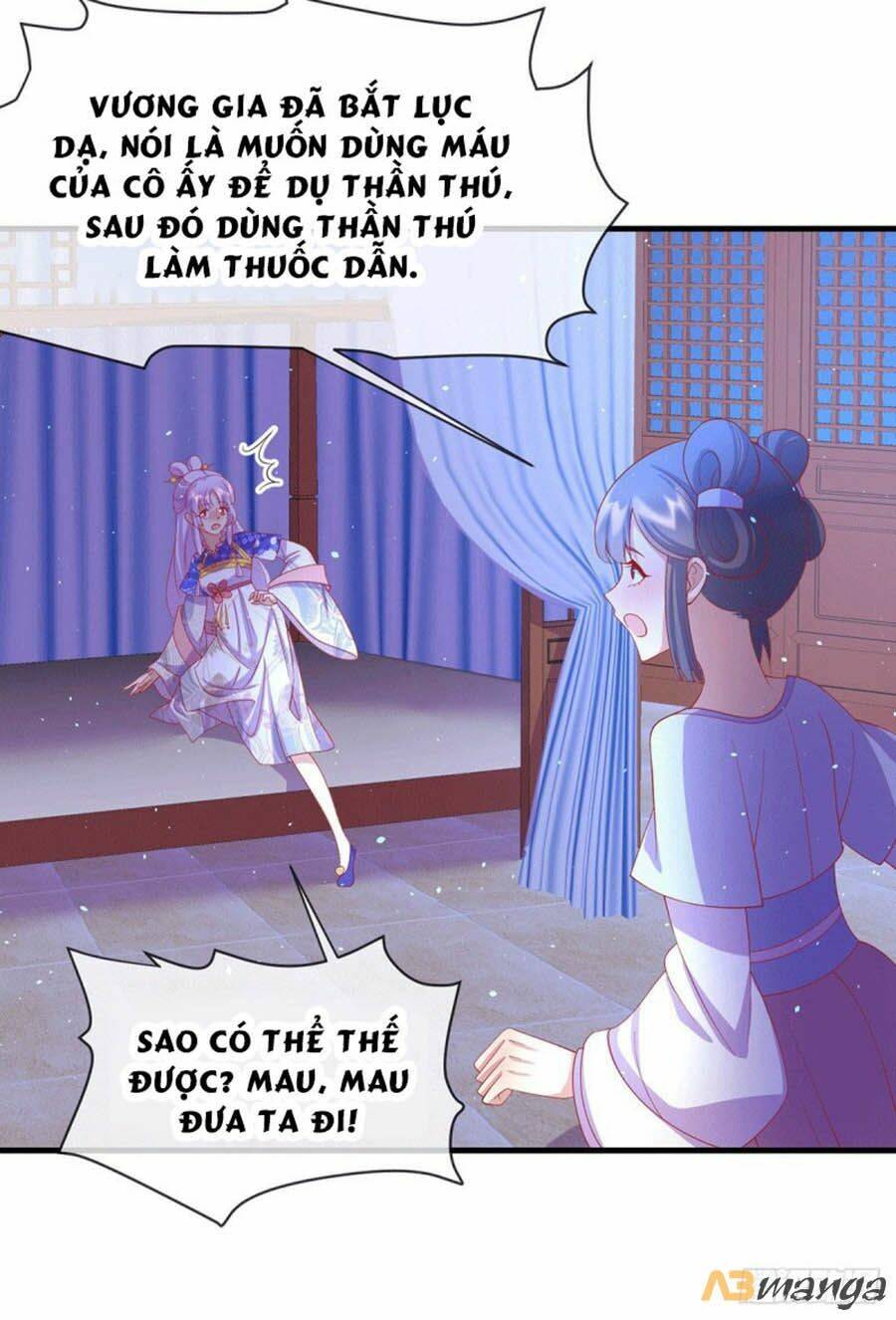 page_24.jpg