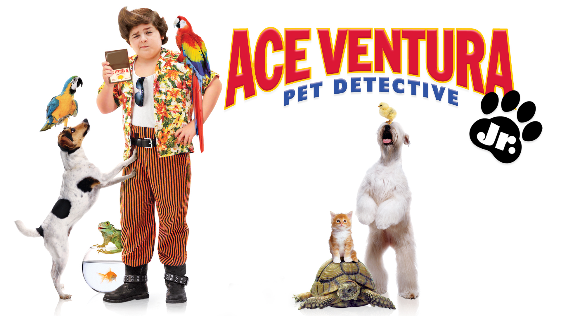 ace-ventura-pet-detective-jr-poster.jpg