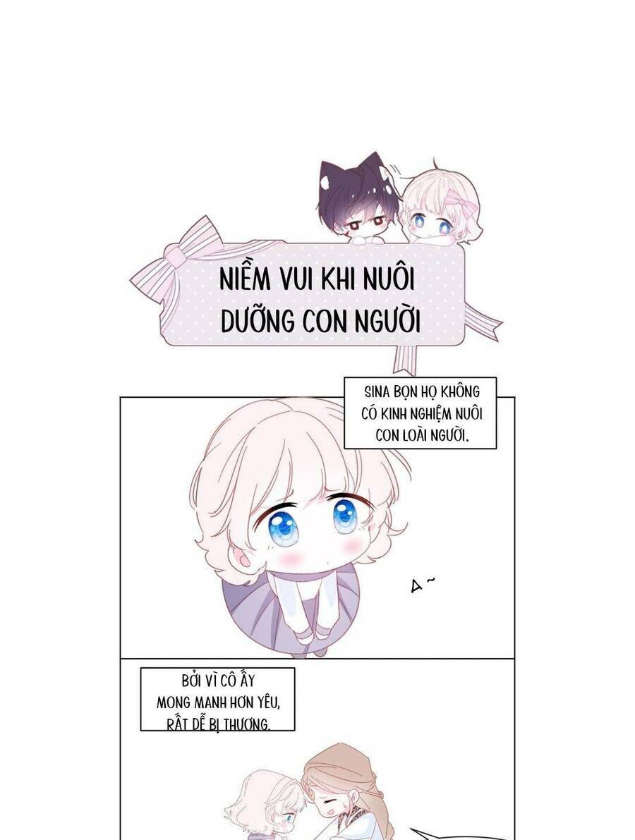 page_38.jpg