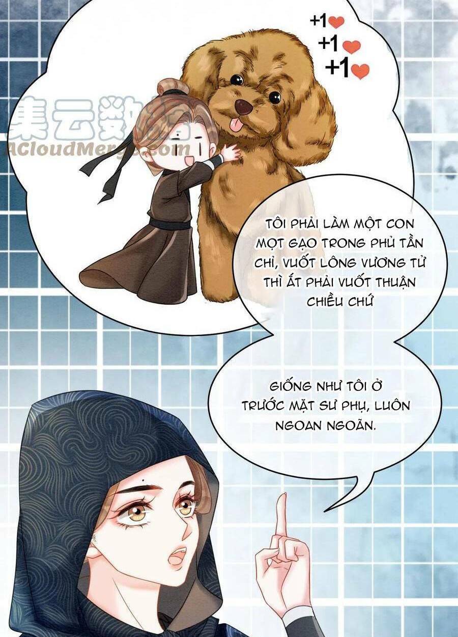 page_34.jpg