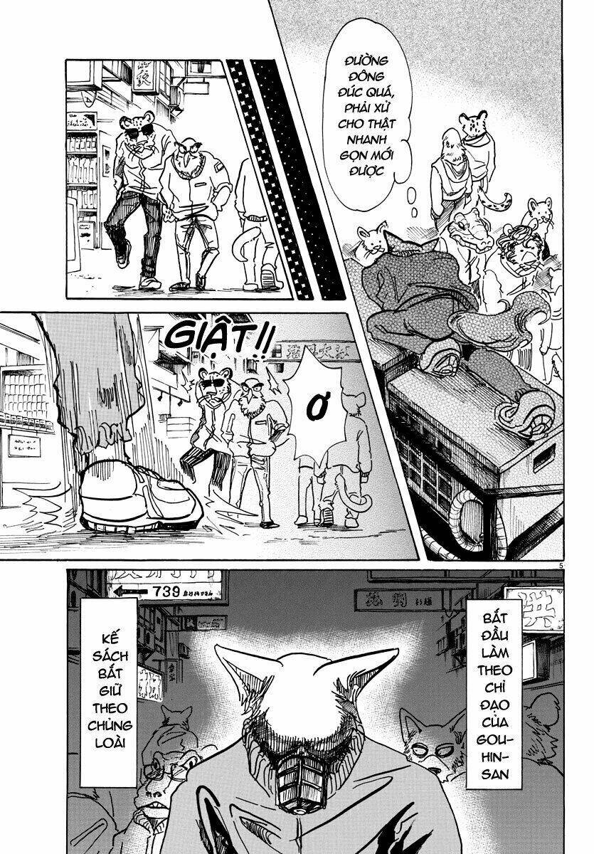 page_5.jpg