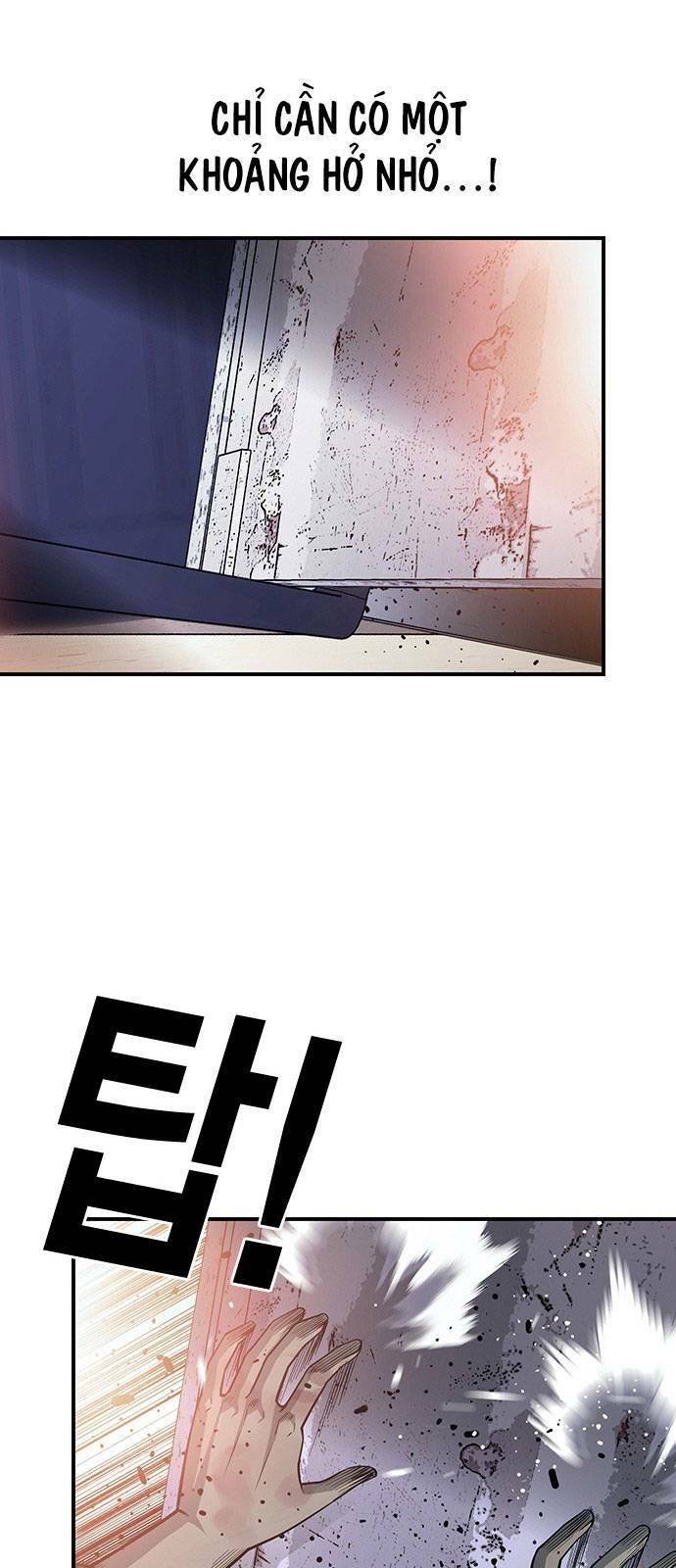 page_59.jpg