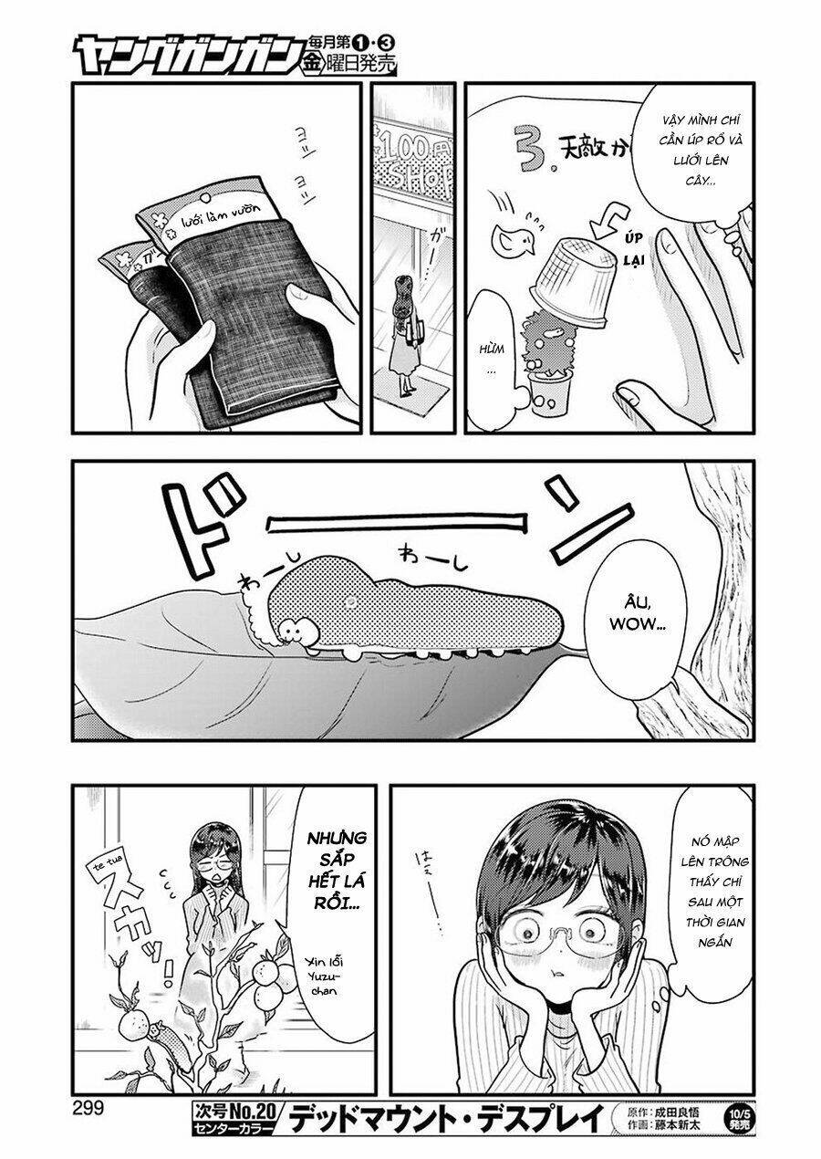 page_11.jpg