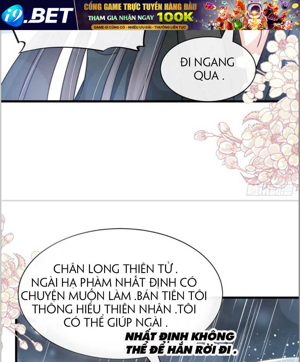 page_31.jpg