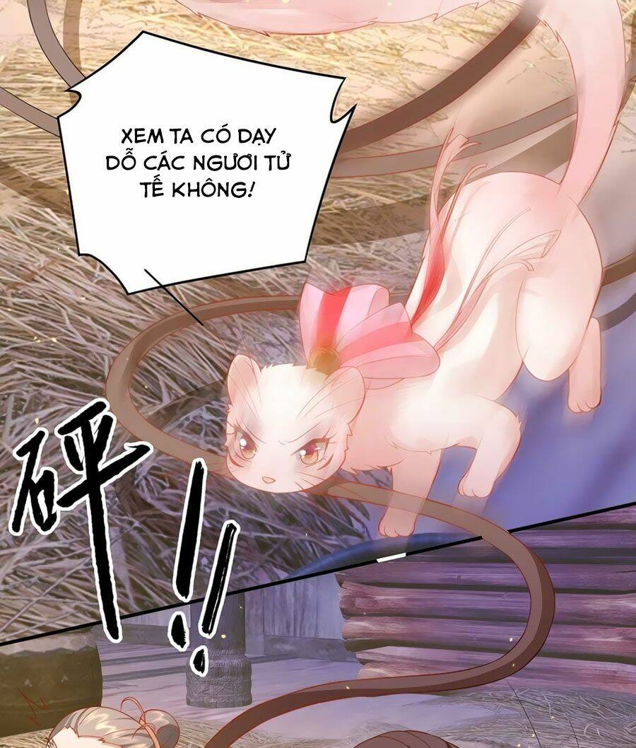 page_12.jpg