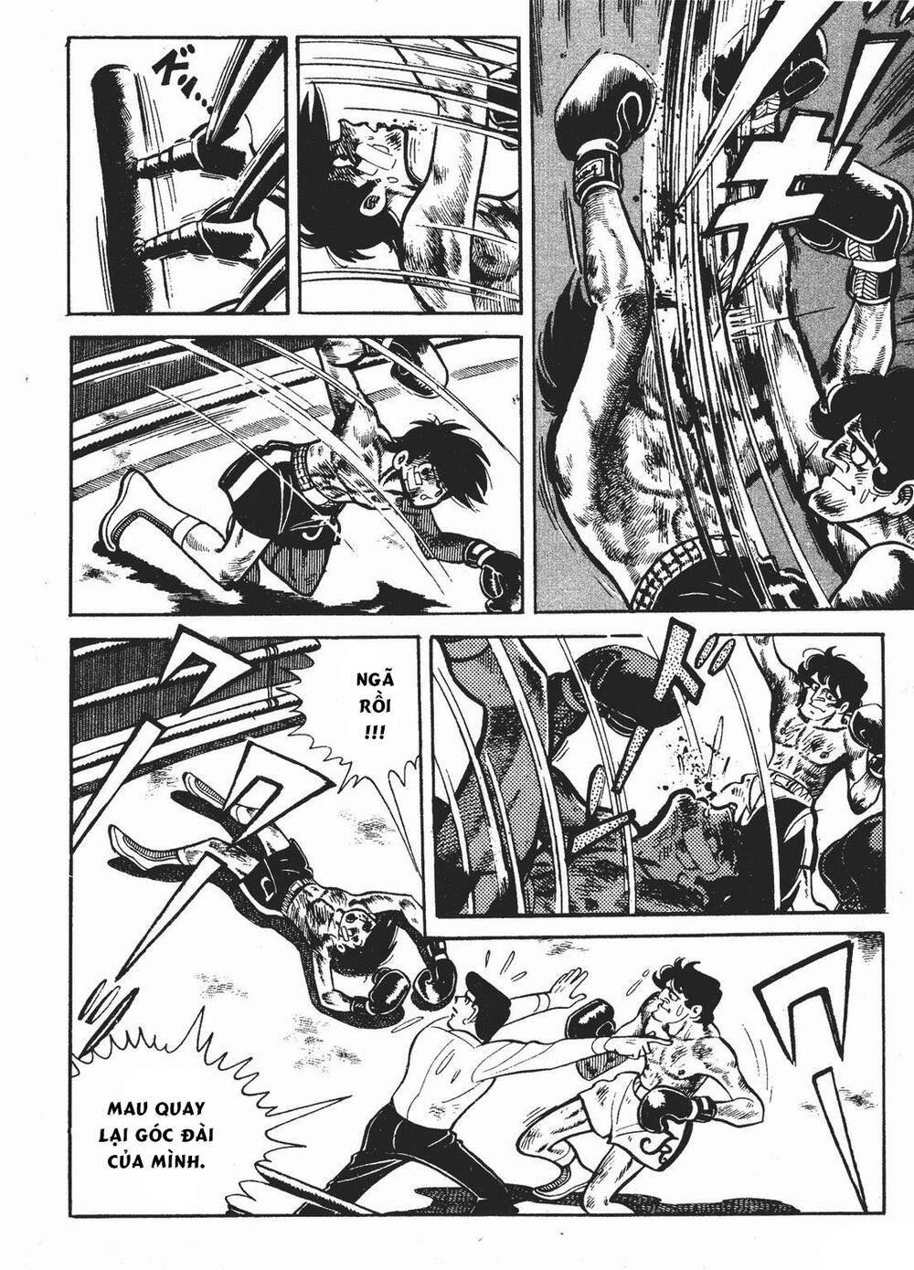 page_6.jpg