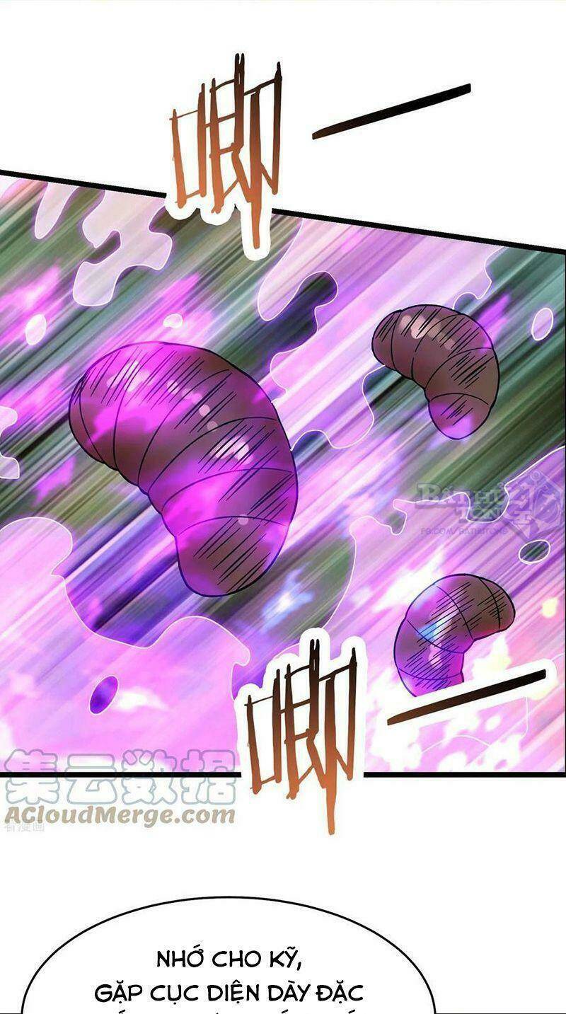 page_17.jpg