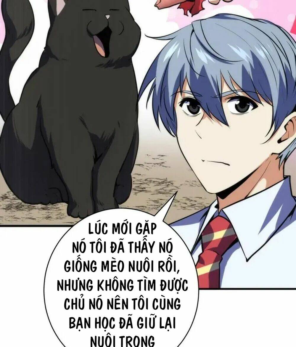 page_21.jpg
