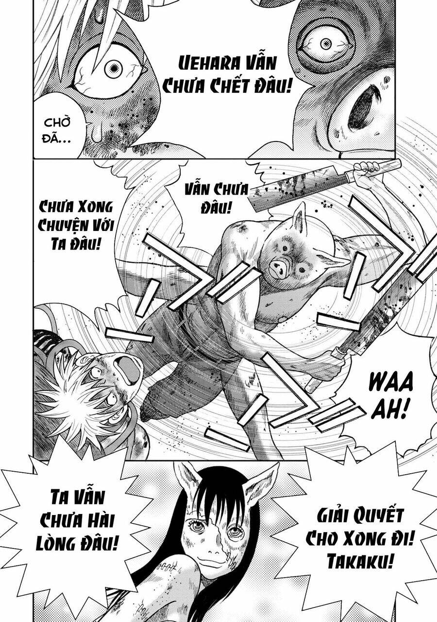 page_17.jpg