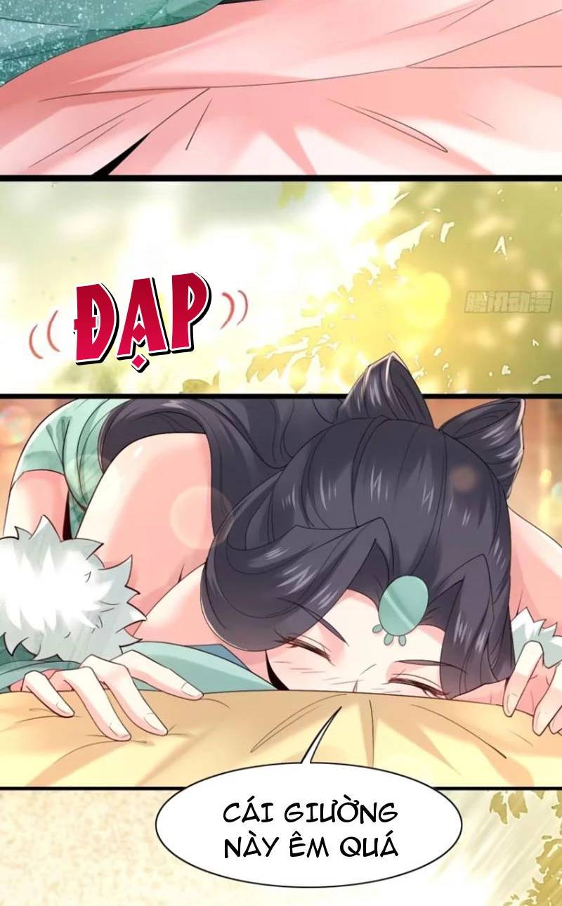page_19.jpg