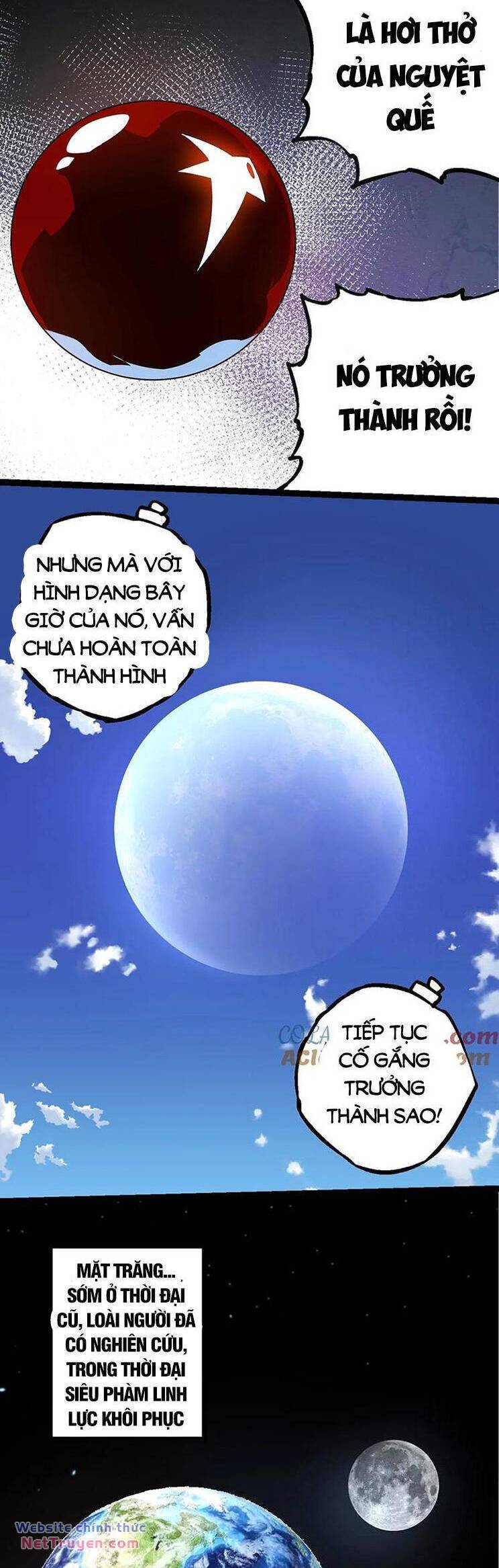 page_14.jpg