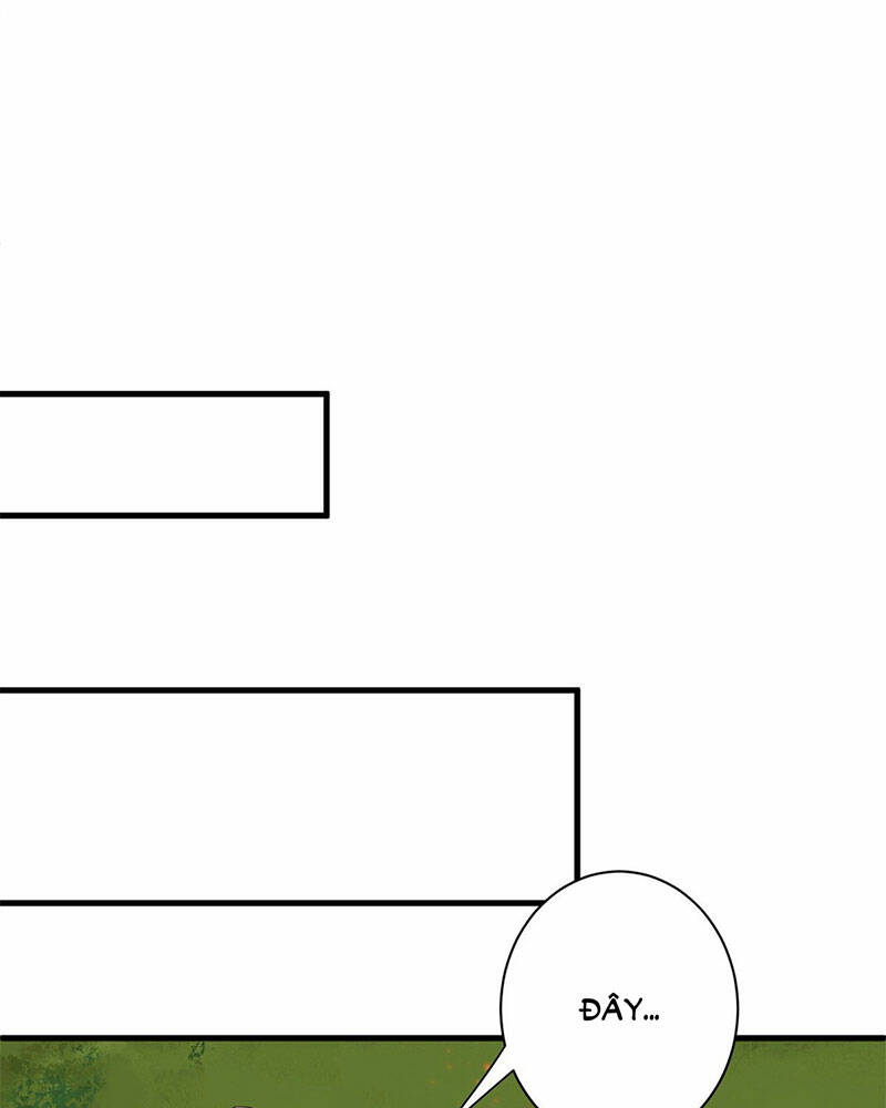 page_43.jpg