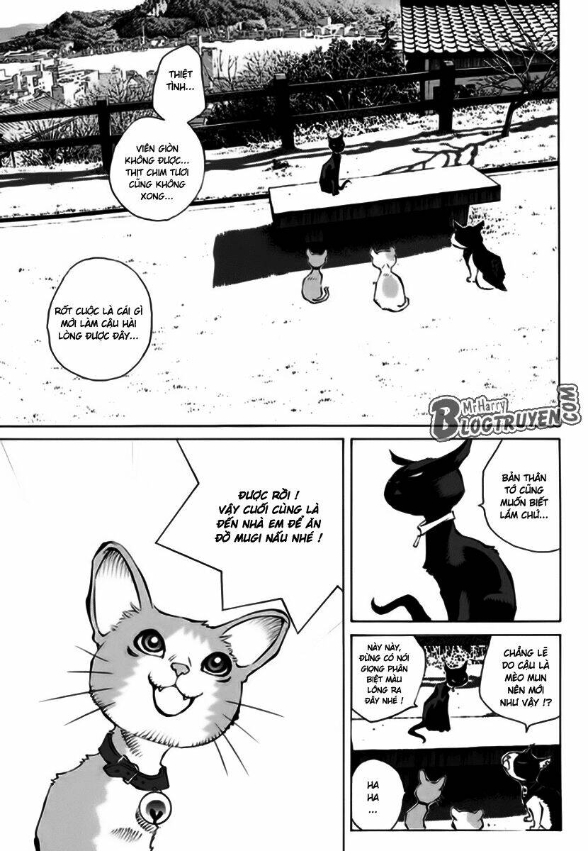 page_30.jpg