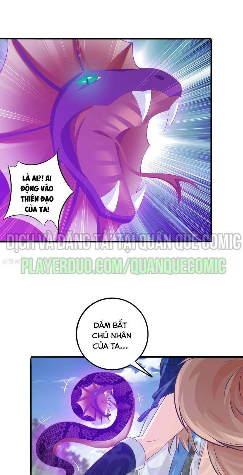 page_1.jpg