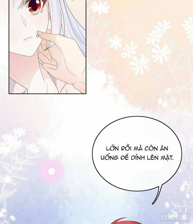 page_24.jpg