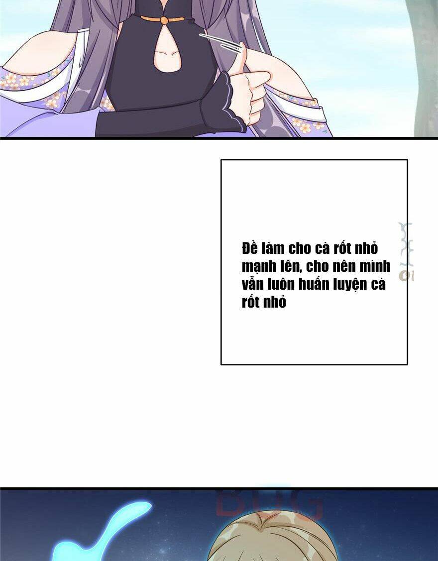 page_5.jpg