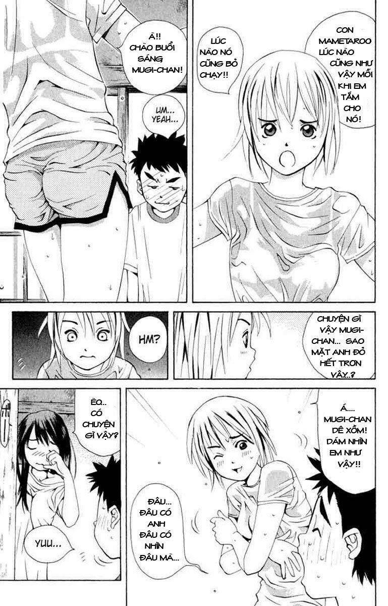 page_4.jpg