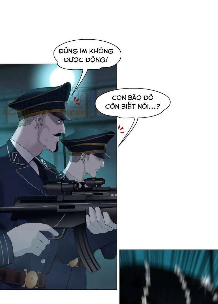 page_19.jpg
