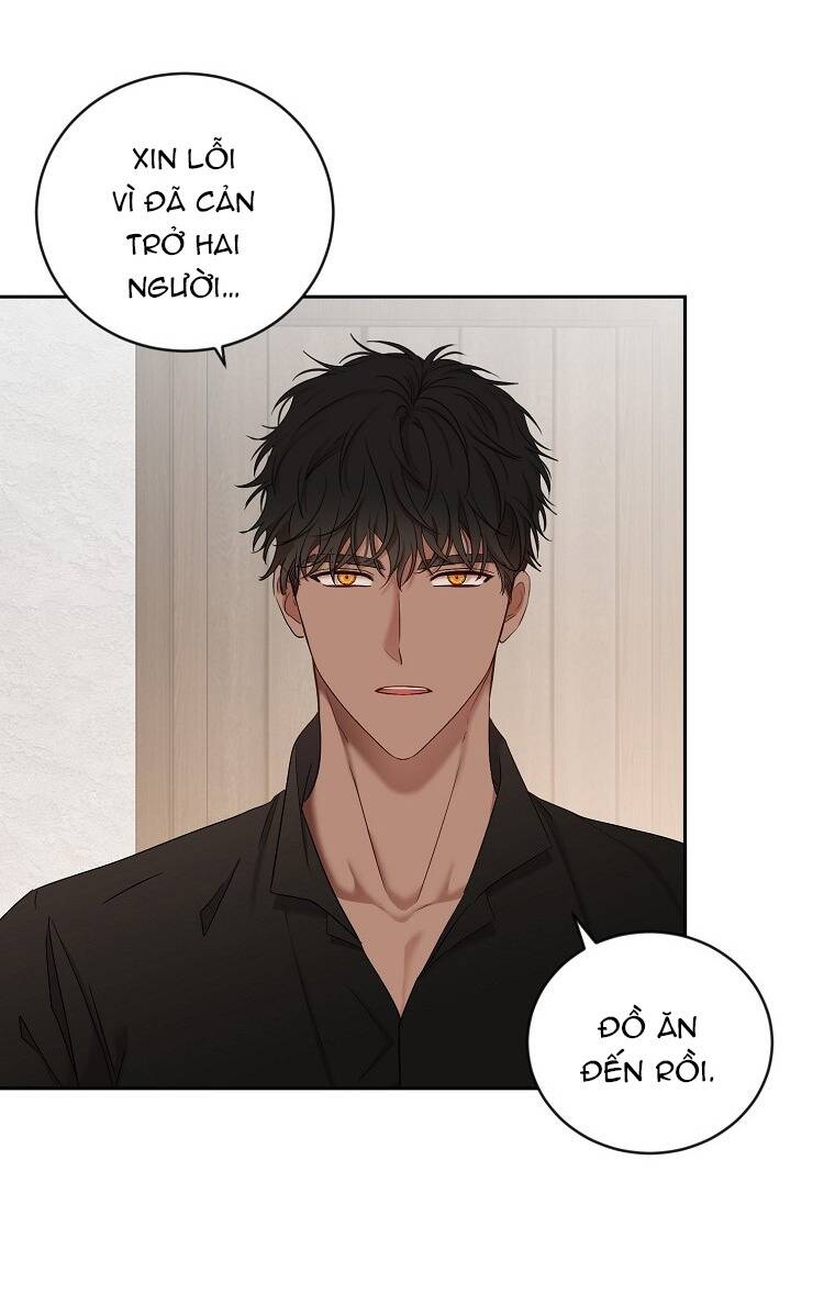 page_21.jpg