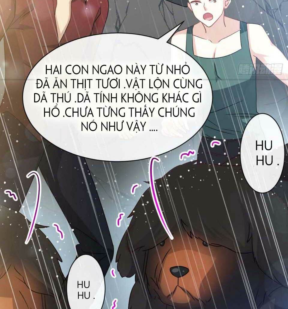 page_19.jpg