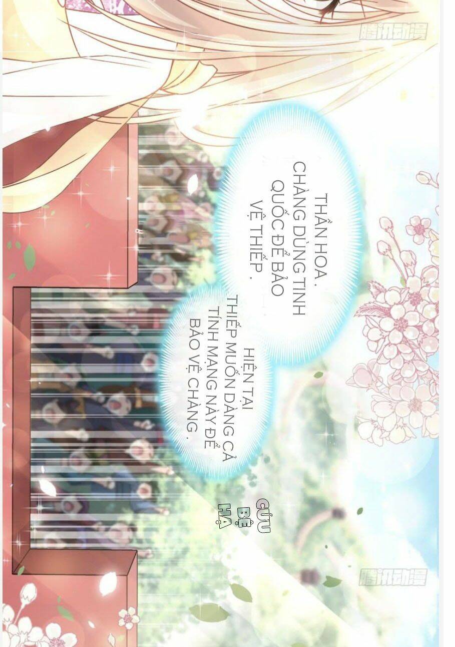 page_16.jpg