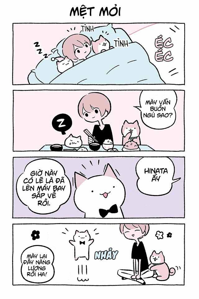 page_2.jpg