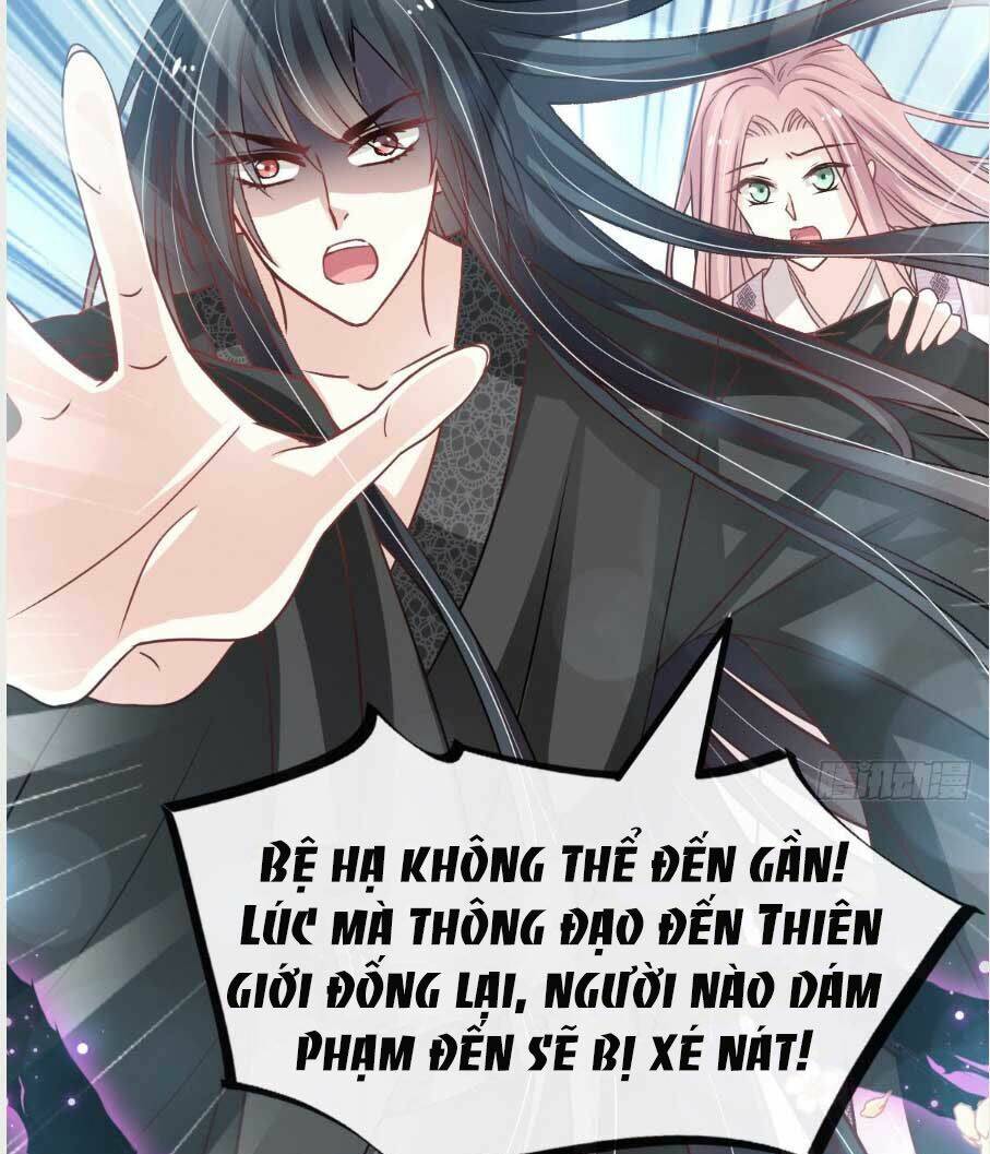 page_20.jpg