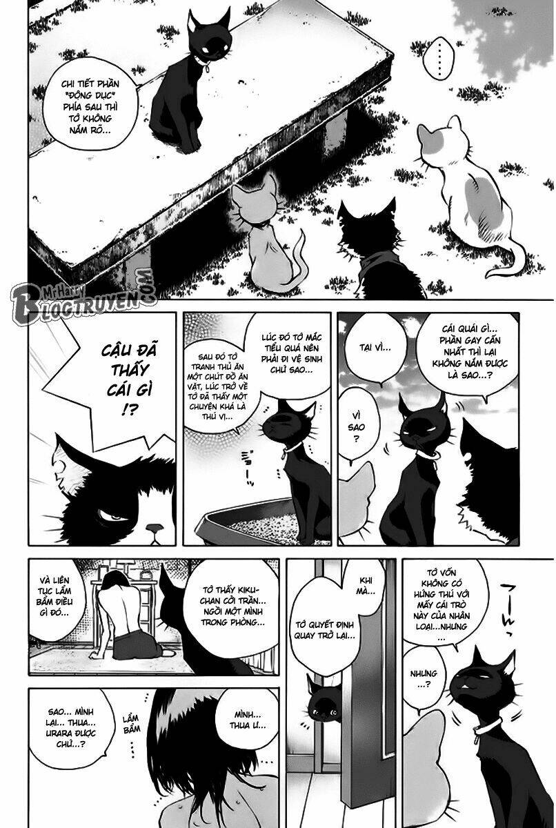page_32.jpg
