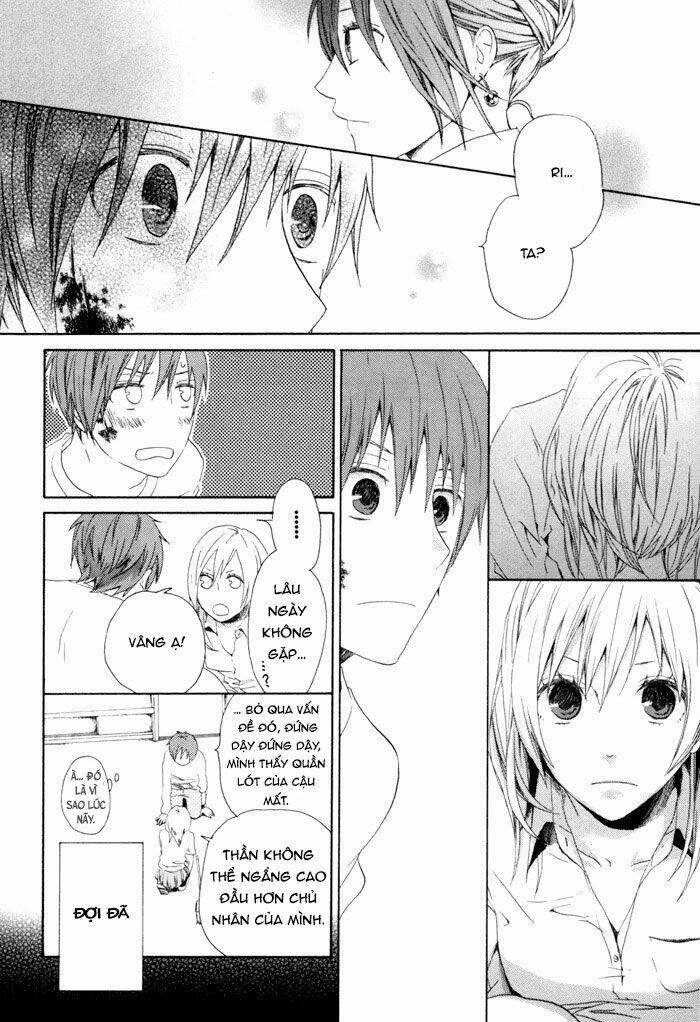 page_41.jpg