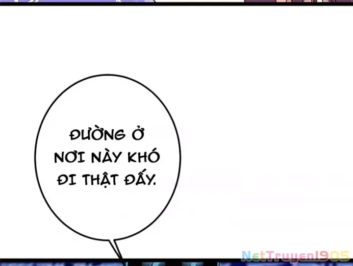 page_17.jpg