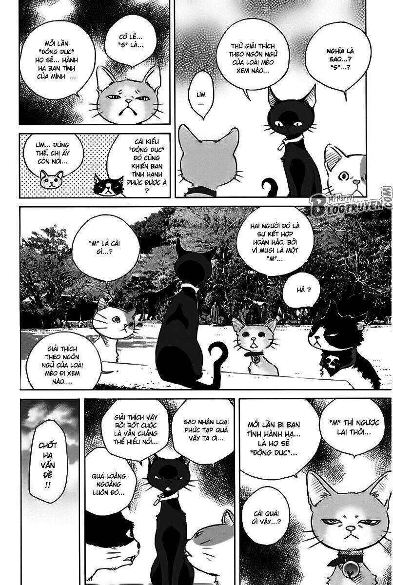 page_37.jpg