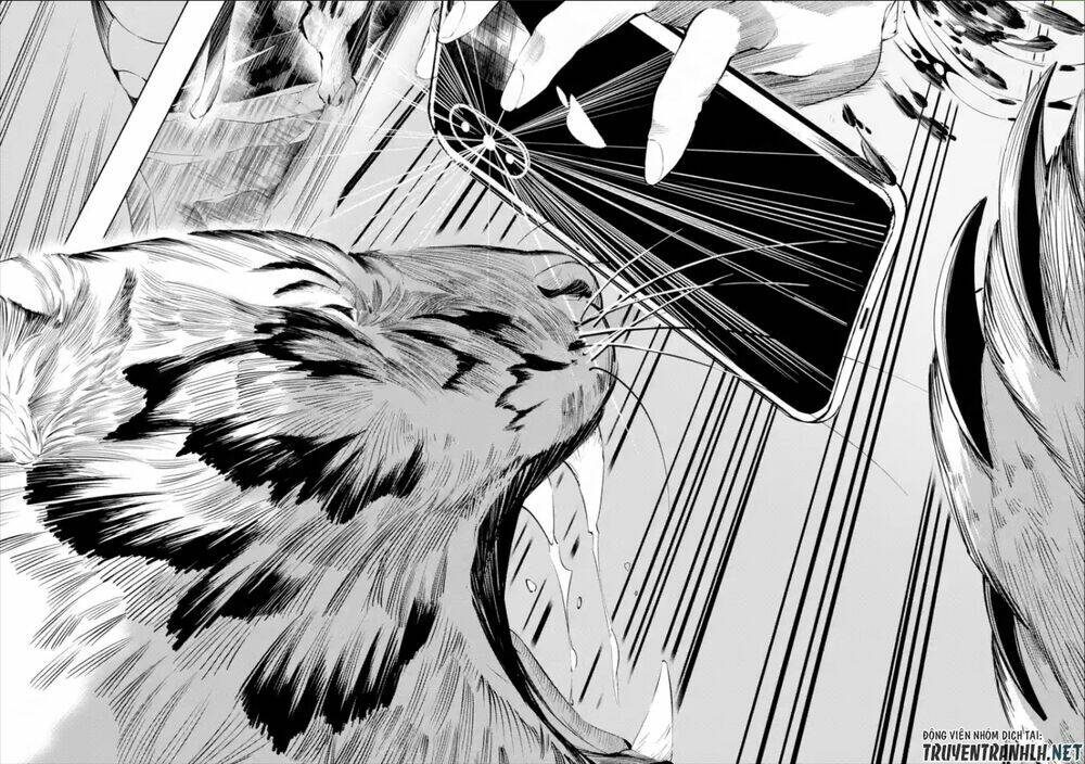 page_41.jpg