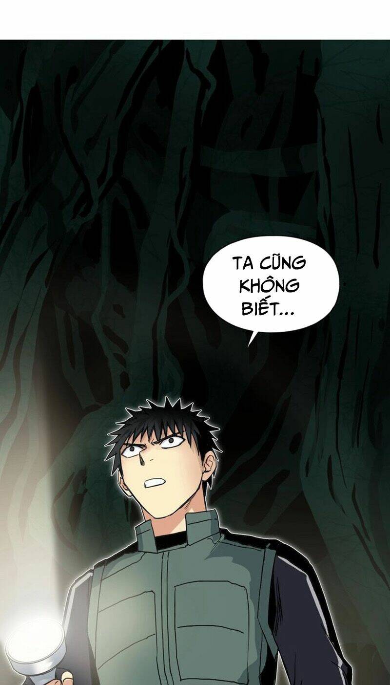 page_48.jpg