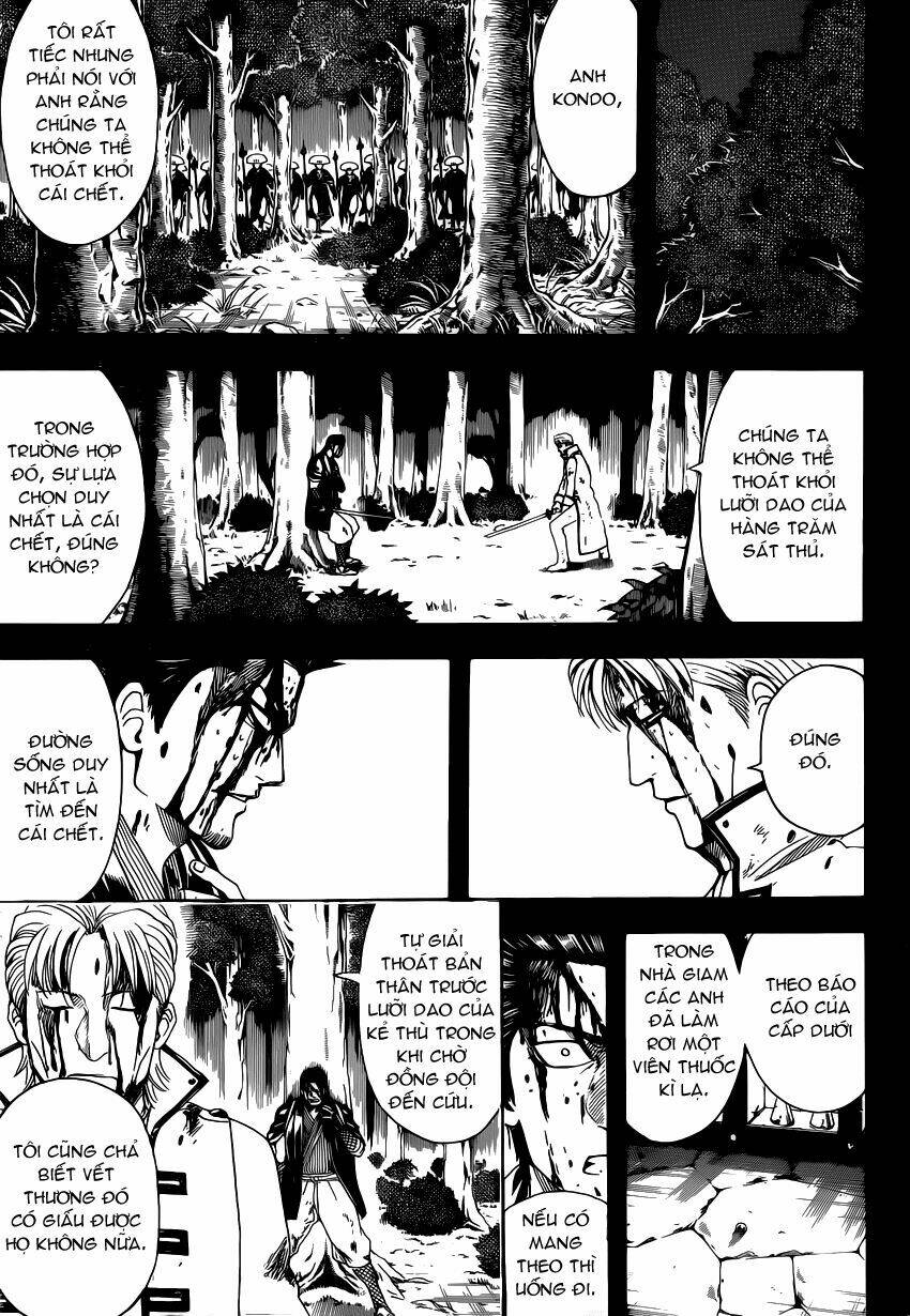 page_11.jpg